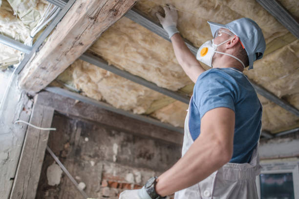 Best Crawl Space Insulation  in Knoxville, IA