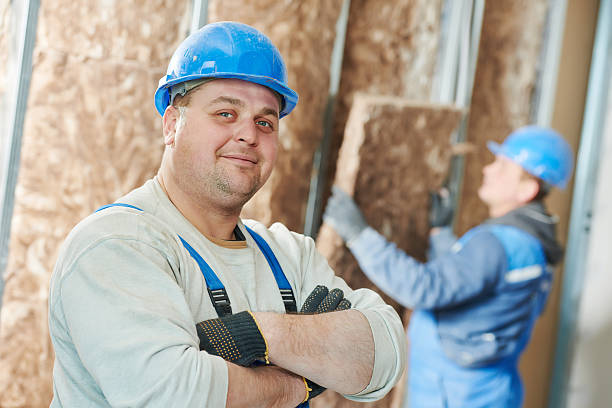 Best Insulation Replacement Services  in Knoxville, IA