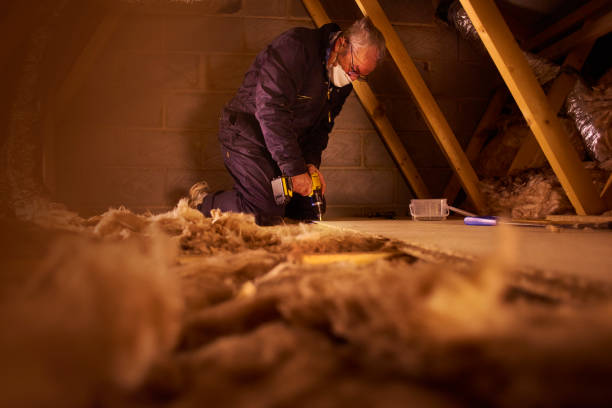 Best Energy-efficient Insulation  in Knoxville, IA